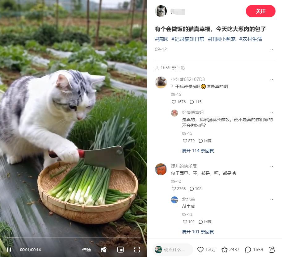 图片[1]-小红书上2个月涨粉2万  的猫咪做饭视频  五分钟教会你-知赚网