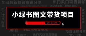 【2024.9.28】小绿书（公众号）图文带货项目，保姆级操作变现指南-小鱼项目网