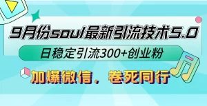 【2024.9.28】9月份soul最新引流技术5.0，日稳定引流300+创业粉，加爆微信，卷死同行-小鱼项目网