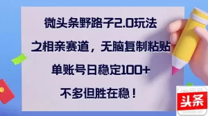 【2024.9.27】微头条野路子2.0玩法之相亲赛道，无脑复制粘贴，单账号日稳定100+-小鱼项目网